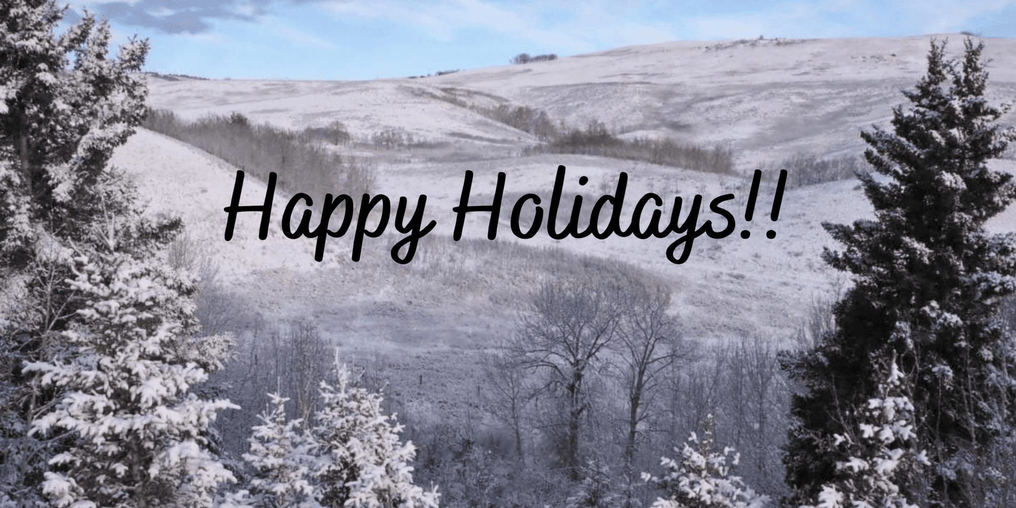December Newsletter. Happy Holidays